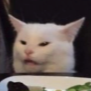 White cat looking confused and disgusted while sitting at a table.