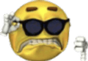 emoji_terrible Discord Emoji from Secret Cult of Bakchod🥷