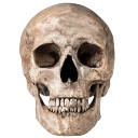 dead custom emote | Imaginarium 𓈒࿐
