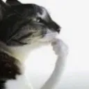 pondering