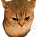 :car_mad: