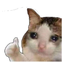 :catok: