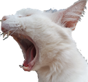 :AHHH:
