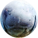 dstiny