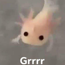 An adorable pink axolotl with the text Grrrr written below it.