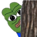 pepepeek Discord Emoji - 𝐀𝐋𝐋𝐈𝐀𝐍𝐂𝐄 𝟒𝐒𝐕 •|• 𝐊𝐃 𝟏𝟎𝟔𝟖𝟖