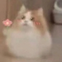 A fluffy cat with rosy cheeks holding a small pink flower in its paw.