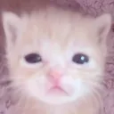 catc3