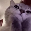catc5