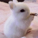 bunyf2 custom emote | 𝑃𝑎𝑤💤.𝑒𝑥𝑒
