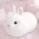 bunyc3