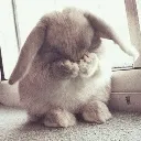 bunyc4