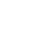 A white line-art bat flaps its wings against a solid black background.
