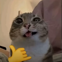 :Chillbrochill: