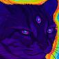 A purple cat with three eyes and a glowing, rainbow-colored aura.