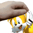 :1663petthetails: