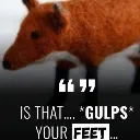 isthaturfeet