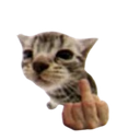 emoji_65 custom emote | 𝐀𝐋𝐋𝐈𝐀𝐍𝐂𝐄 𝟒𝐒𝐕 •|• 𝐊𝐃 𝟏𝟎𝟔𝟖𝟖
