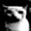 Cat face with high-contrast, distorted features looking suspicious.