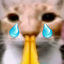 emoji_90 Discord Emoji - 𝐀𝐋𝐋𝐈𝐀𝐍𝐂𝐄 𝟒𝐒𝐕 •|• 𝐊𝐃 𝟏𝟎𝟔𝟖𝟖