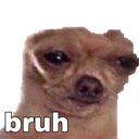 :ardogbruh: