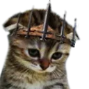 cat_sad Discord sticker | 𝐺𝑂𝑇𝐶/𝐸𝑚𝑜𝑗𝑖𝑠