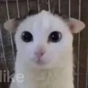 emoji_1