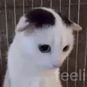 emoji_2