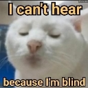 Imblind custom emote | 𝐀𝐋𝐋𝐈𝐀𝐍𝐂𝐄 𝟒𝐒𝐕 •|• 𝐊𝐃 𝟏𝟎𝟔𝟖𝟖