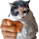 VasACaer custom emote | 𝐀𝐋𝐋𝐈𝐀𝐍𝐂𝐄 𝟒𝐒𝐕 •|• 𝐊𝐃 𝟏𝟎𝟔𝟖𝟖