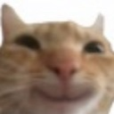 emoji_48 custom emote | Skyzone