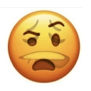 Emoji face with a furrowed brow and a grimacing, pained mouth expressing confusion.