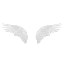 :angelwings: