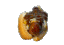 :16838chilidog: