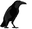 crow animated emote - ＰＩＸＳＥＬ ＮＥＸＵＳ