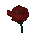 rose animated emote - 𝙈𝙤𝙧𝙜𝙪𝙚 𝘿𝙤𝙡𝙡 ¹⁸⁺