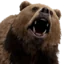 A grizzly bear with its mouth wide open in a loud, aggressive roar.