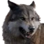 wolf Discord Emoji - RustProfit.com