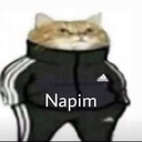 A cat with a stern expression wearing a black tracksuit with white stripes.