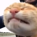 emoji_44 custom emote | Chaotic Drifters
