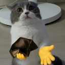 541230poorcat Discord Emoji | 𝓢𝓲𝓷𝓷𝓮𝓻𝔃