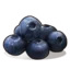 :blueberries: