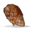 cooked_chicken custom emote | RustProfit.com