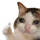 :emoji_28: