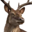 A deer looking sideways with a suspicious and judgmental expression.