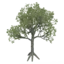 A stylized green tree with a brown trunk stands against a neutral background.