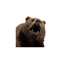 :bear_bounce: