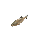 A small brown fish wiggling back and forth in a repetitive animation.