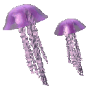 a_jellyfish animated emote - ʚㆍαᏇzㆍଓ