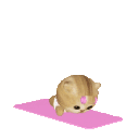 p_kittyworkout animated emote from ʚㆍαᏇzㆍଓ